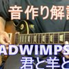 RADWIMPS - 君と羊と青 ギターの音作り